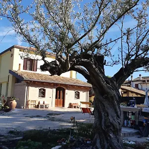 Il Focolare Bed & Breakfast